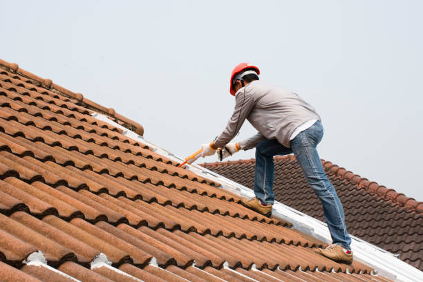 Best Roof Maintenance and Cleaning  in Casa Blanca, AZ